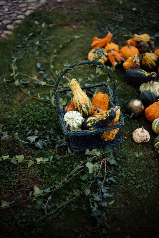 无人,竖图,俯视,室外,南瓜,蔬菜,意大利,许多,篮子,很多,饮食,橙色,摄影,多样,柳条,清新,健康食物,彩图,高角度拍摄