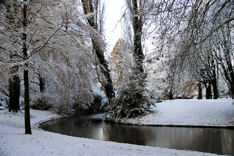 无人,横图,室外,白天,河流,水,雪,法国,圣诞节,冬天,树,自然,寒冷,摄影,宁静,里尔,彩图