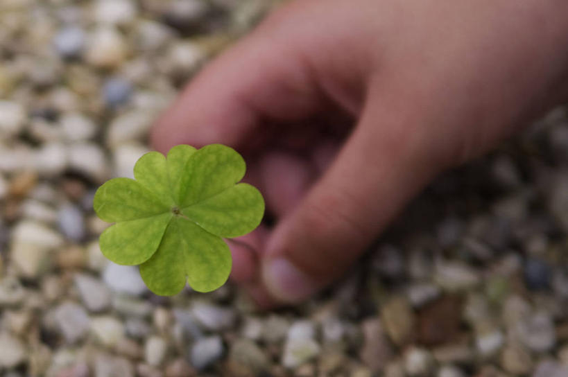手,一个人,横图,俯视,室外,特写,白天,运气,叶子,西班牙,三叶草,四叶草,鹅卵石,探索,摄影,生长,部分,清新,心型,手牵手,彩图,高角度拍摄