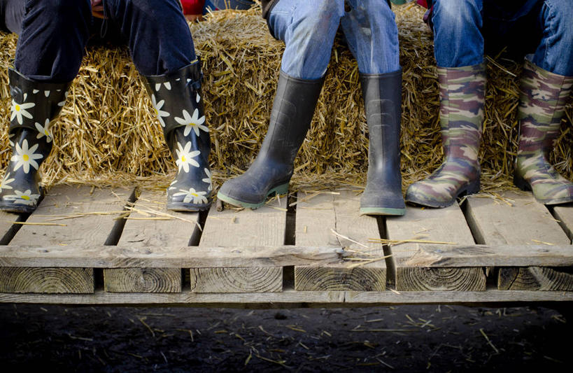 三个人,坐,横图,室外,白天,加拿大,并排,木制,雨鞋,干草,首都,牛仔裤,休闲装,草垛,放松,摄影,渥太华,干草垛,彩图