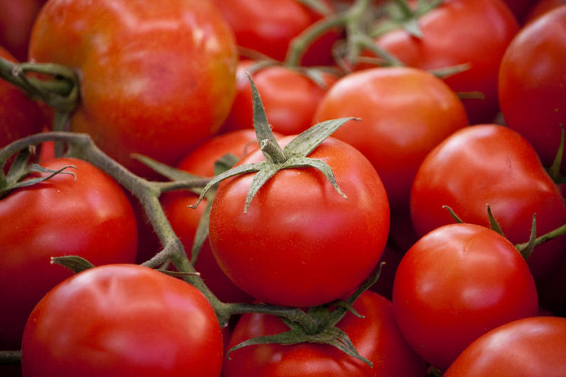 无人,横图,室外,特写,白天,蔬菜,西红柿,西班牙,饮食,红色,摄影,清新,健康食物,巴伦西亚省,彩图