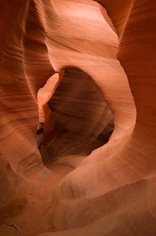 无人,竖图,室外,白天,美景,日光,美国,景观,自然,景色,摄影,亚利桑那,北美,北美洲,岩层,自然风光,美洲,亚利桑那州,大峡谷之州,北亚美利加洲,亚美利加洲,地质学,羚羊峡谷,沙岩,上羚羊峡谷,自然地理,岩石,彩图,美利坚合众国