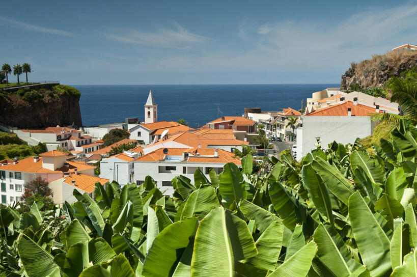 无人,横图,室外,白天,海洋,建筑,叶子,葡萄牙,屋顶,田地,云,树,天空,社区,摄影,香蕉叶,大西洋群岛,彩图