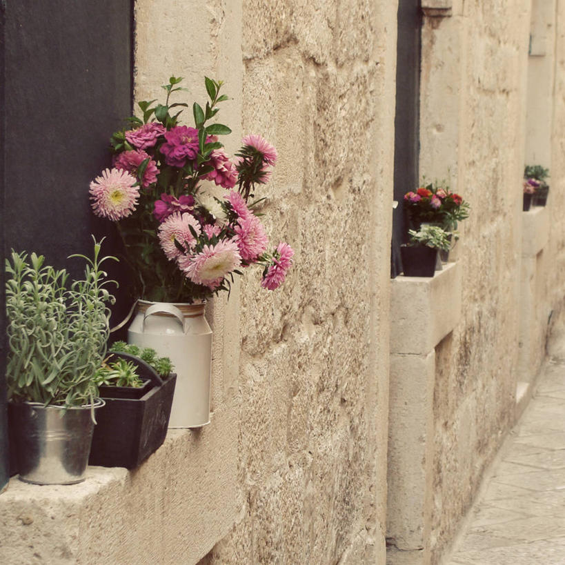 无人,方图,室外,白天,窗户,街道,花盆,克罗地亚,墙,花,摄影,脆弱,清新,杜布罗夫尼克,彩图