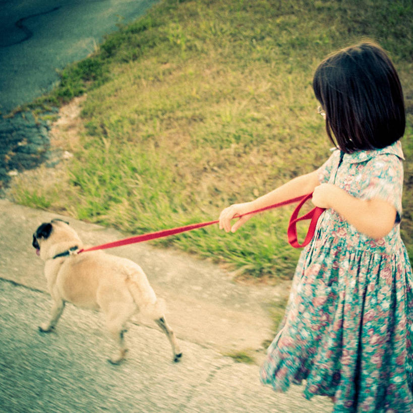 西方人,儿童,一个人,方图,室外,白天,纯洁,水,宠物,狗,欧洲,美国,欧洲人,仅一个女性,仅一个人,花纹,小的,拿着,草,小孩,蓝色,仅一个小孩,家畜,可爱,童年,童趣,摄影,哈巴狗,童真,狗链,烂漫,无邪,布卢明顿,天真,女孩,女人,女性,白种人,孩子,步行,彩图,女生