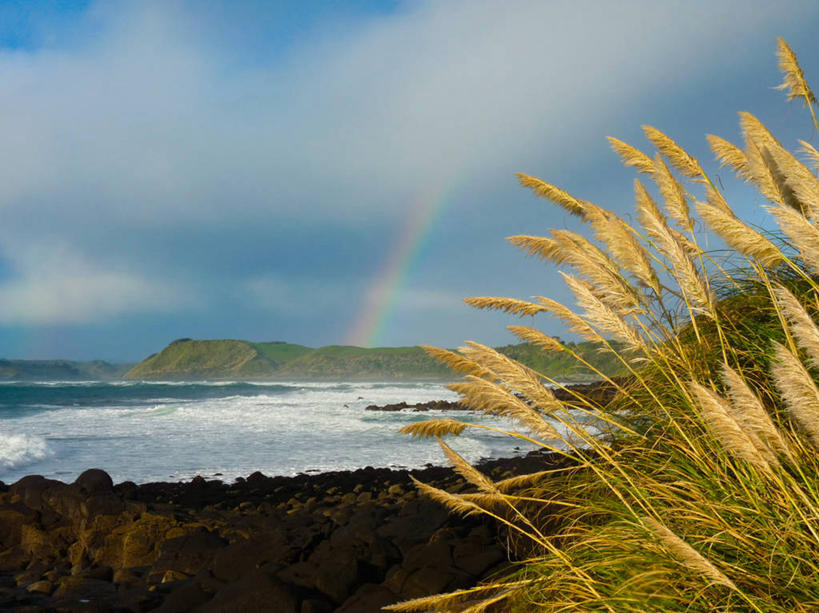 无人,横图,室外,白天,彩虹,美景,芦苇,新西兰,景观,云,天空,自然,景色,摄影,宁静,自然风光,海滩,岩石,彩图