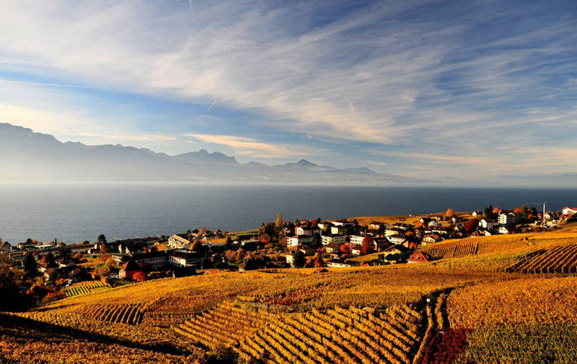 无人,横图,室外,农业,湖,美景,日光,瑞士,房屋,景观,田地,云,葡萄园,天空,自然,黄昏,景色,摄影,宁静,自然风光,沃州,秋天,彩图