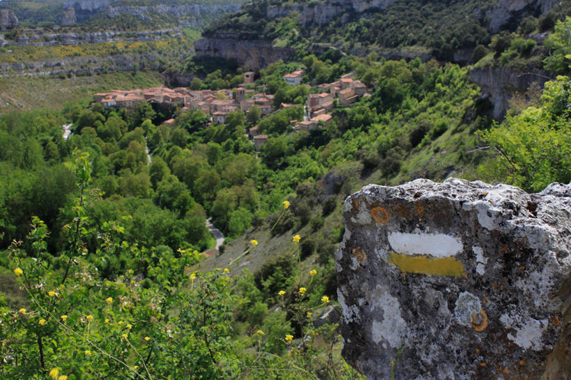 无人,横图,俯视,室外,白天,西班牙,城堡,城镇,小路,草,花,树,自然,摄影,布尔戈斯,彩图,高角度拍摄