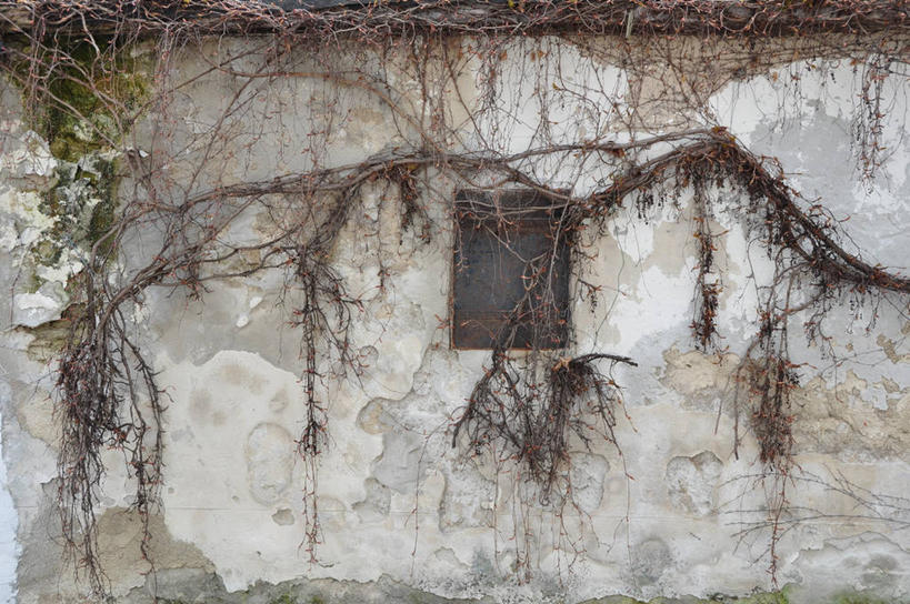 无人,横图,室外,白天,奥地利,废弃,生锈,房屋,枝,摄影,报废,腐蚀,侵蚀,废物,丢弃,放弃,抛弃,腐化,摈弃,锈迹斑斑,布尔根兰州,彩图,屏弃,摈斥,摒除