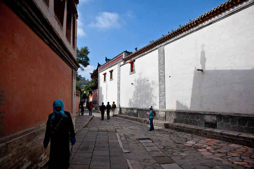 横图,室外,白天,建筑,日光,阴影,云,天空,地标建筑,摄影,宗教,中国文化,修道院,喇嘛教,青海省,彩图,巷