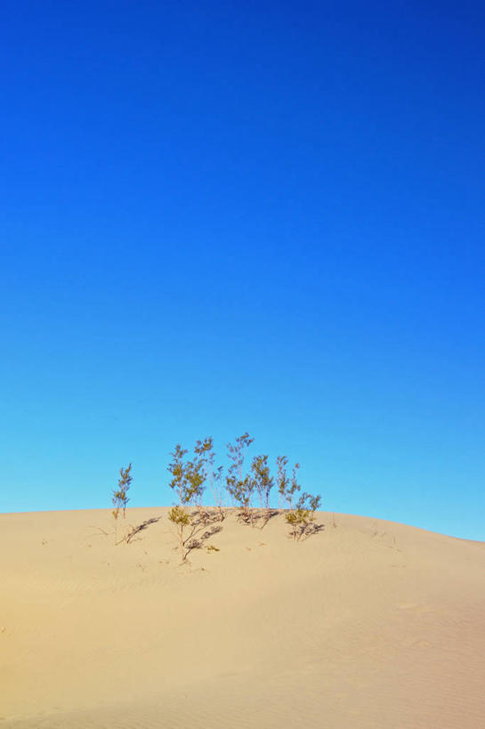 无人,竖图,室外,白天,留白,美景,沙漠,美国,沮丧,景观,沙丘,风景,天空,自然,景色,摄影,宁静,加利福尼亚,自然风光,生存,死亡谷国家公园,大盆地国家公园,彩图