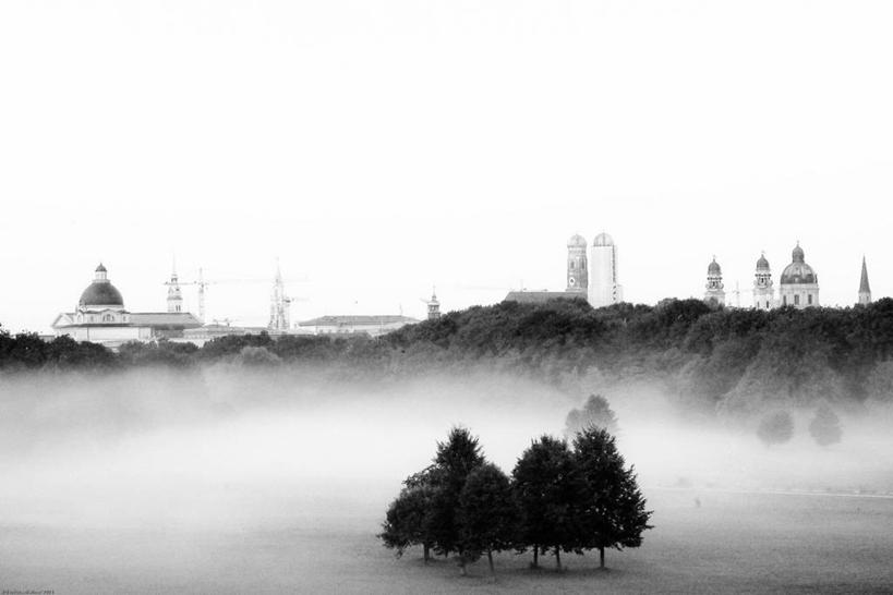 无人,横图,室外,白天,雾,德国,天气,慕尼黑,树,自然,摄影,园林,宁静,万里无云,彩图,英国花园