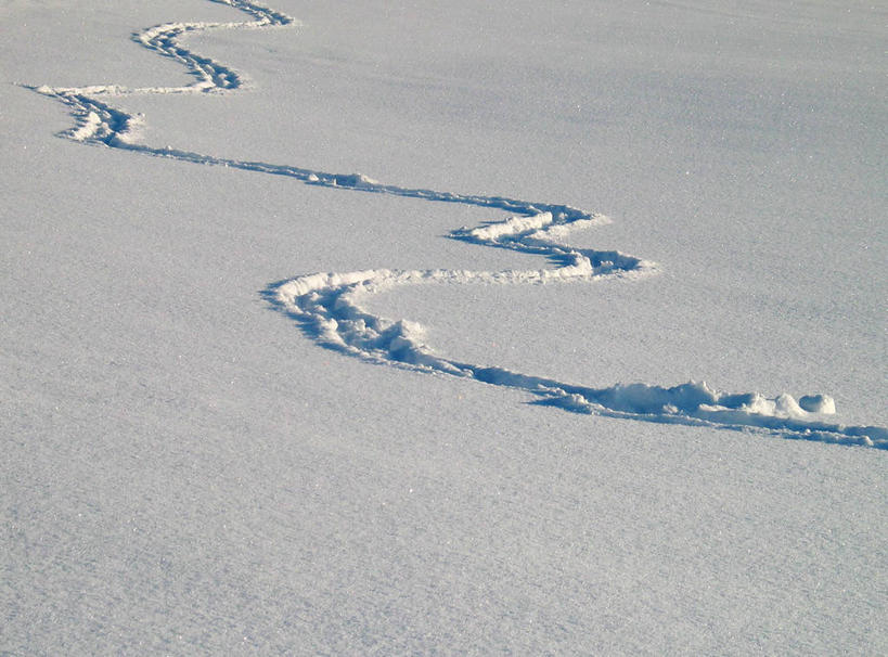 无人,横图,室外,白天,雪,德国,弯曲,冬天,自然,寒冷,摄影,宁静,彩图