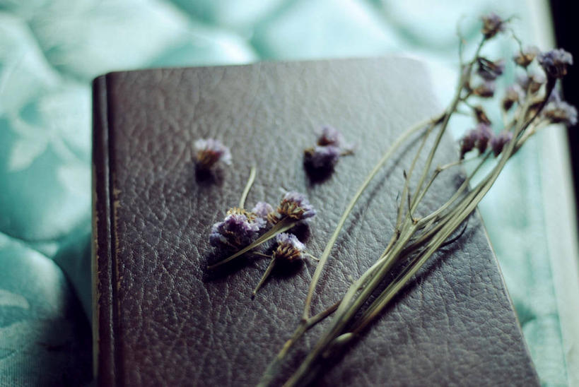 无人,横图,室内,特写,白天,智慧,床,卧室,静物,美国,阴影,花,摄影,脆弱,嫩枝,书,彩图