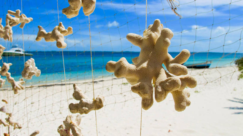 无人,横图,室外,特写,白天,海洋,船,玩具,委内瑞拉,许多,吊挂,悬挂,沙子,水平线,云,首都,很多,挂,天空,自然,南美,摄影,渔网,南美洲,拉丁美洲,美洲,亚美利加洲,南亚美利加洲,加拉加斯,委内瑞拉玻利瓦尔共和国,洛斯罗克斯群岛,海滩,彩图