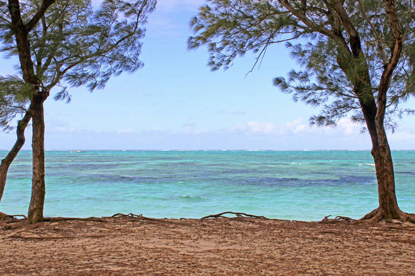 无人,横图,室外,白天,美景,毛里求斯,沙子,景观,水平线,树,天空,自然,景色,摄影,宁静,印度洋,自然风光,彩图