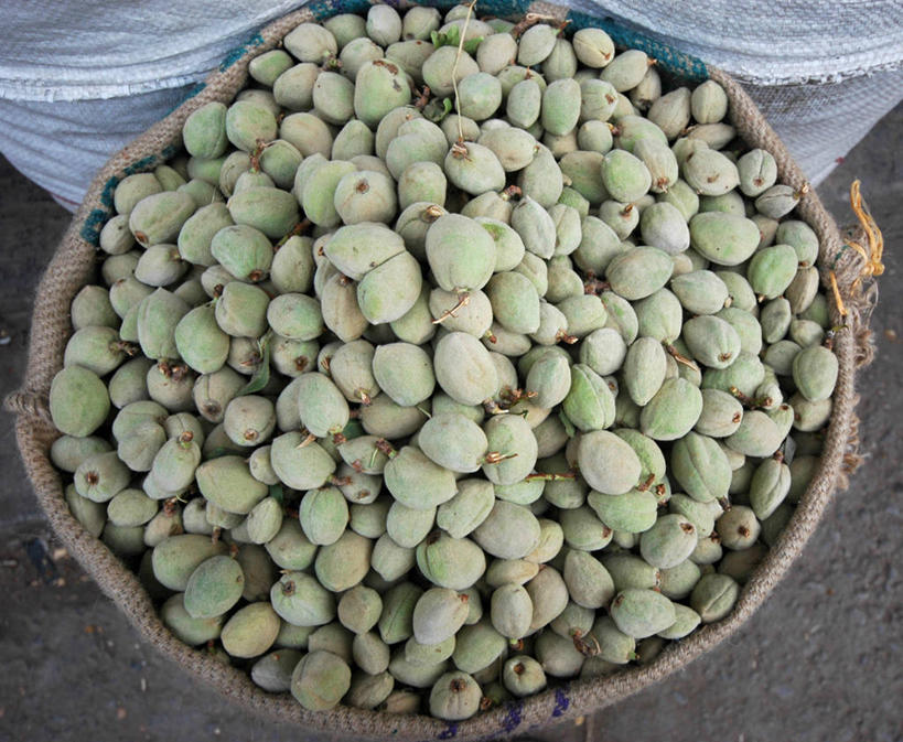 无人,横图,俯视,室外,特写,白天,巴基斯坦,许多,丰富,食品,市场,很多,零售,摄影,干的,胡桃,俾路支省,彩图,高角度拍摄