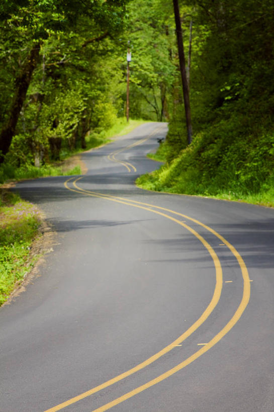 无人,竖图,室外,白天,路,美国,弯曲,路标,树,自然,运输,摄影,宁静,俄勒冈州,尤金,彩图