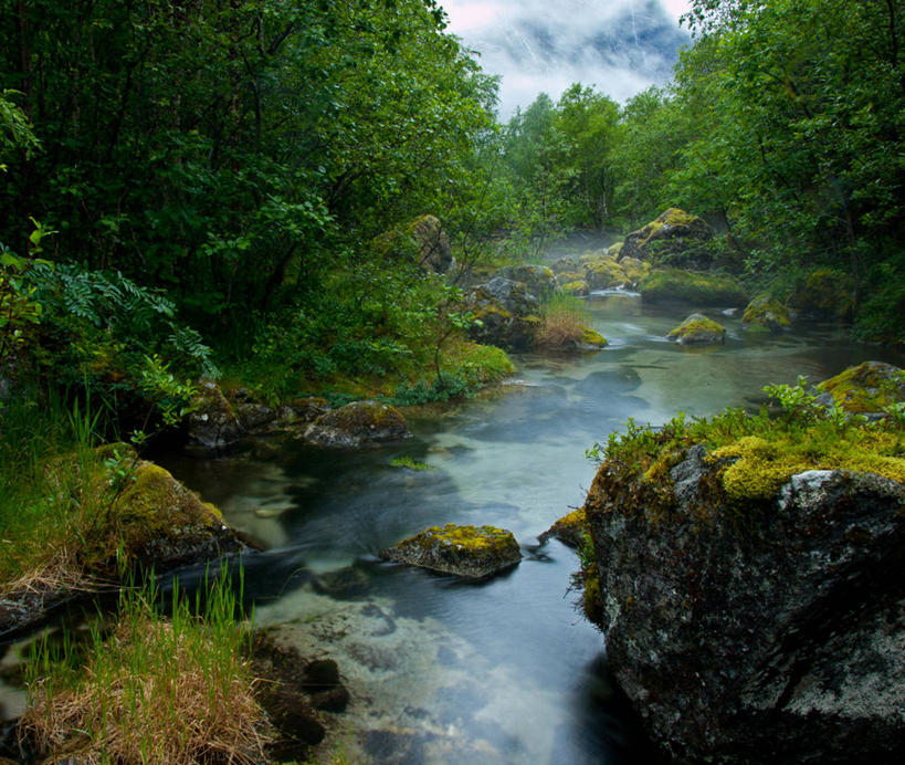 无人,横图,室外,白天,旅游,度假,美景,雾,挪威,欧洲,景观,云,苔藓,娱乐,树,风景,小溪,自然,享受,休闲,景色,放松,摄影,宁静,斯堪的纳维亚,自然风光,北欧,斯堪的那维亚,斯堪的那维亚半岛,斯堪的纳维亚半岛,挪威王国,默勒.鲁姆斯达尔,默勒.鲁姆斯达尔郡,岩石,彩图