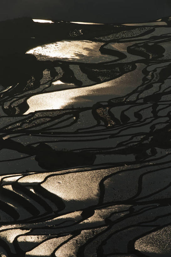 无人,竖图,俯视,航拍,室外,白天,旅游,度假,农业,美景,反射,稻田,景观,娱乐,风景,自然,享受,休闲,景色,放松,摄影,宁静,鸟瞰,自然风光,元阳,云南省,式样,彩图,高角度拍摄