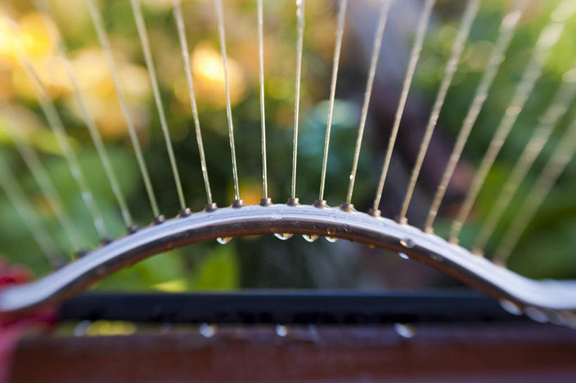 无人,横图,室外,特写,白天,水,叶子,美国,湿,飞溅,庭院,水滴,夏天,摄影,华盛顿州,洒水机,马里斯维尔,撒,彩图