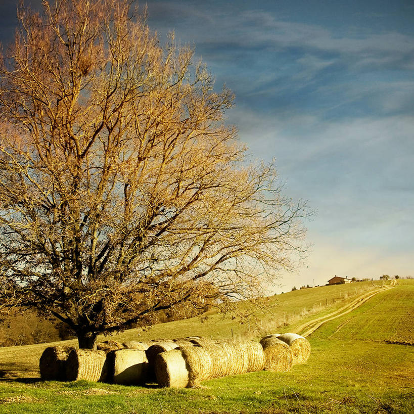 无人,方图,室外,白天,山,日光,意大利,云,干草,树,天空,自然,卷起,摄影,宁静,改变,秋天,彩图