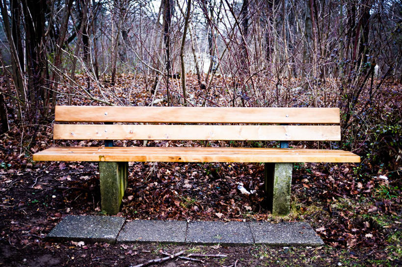 无人,公园,横图,室外,白天,叶子,椅子,德国,木制,长椅,慕尼黑,自然,摄影,改变,巴伐利亚,秋天,彩图