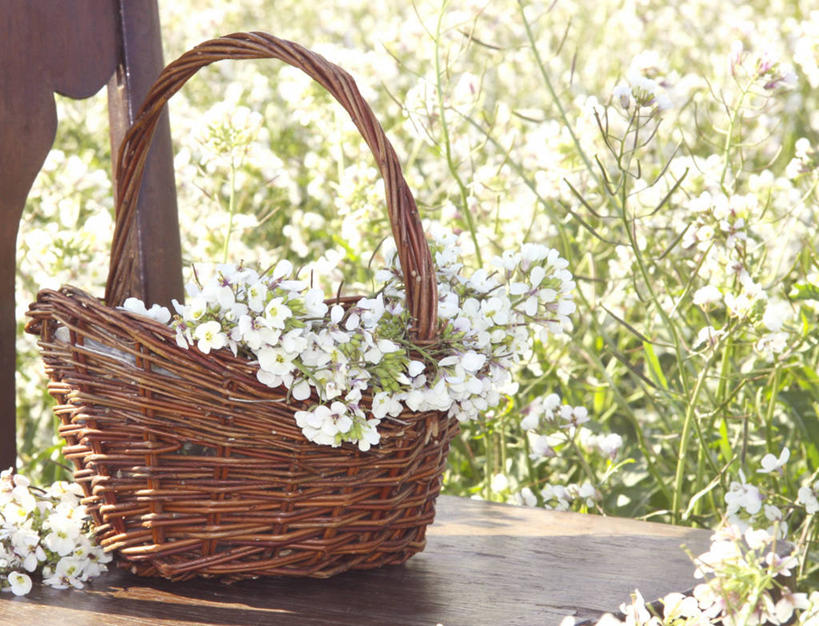 无人,横图,室外,特写,白天,椅子,西班牙,木制,篮子,田地,野花,花,春天,摄影,脆弱,清新,卡斯特利翁省,彩图