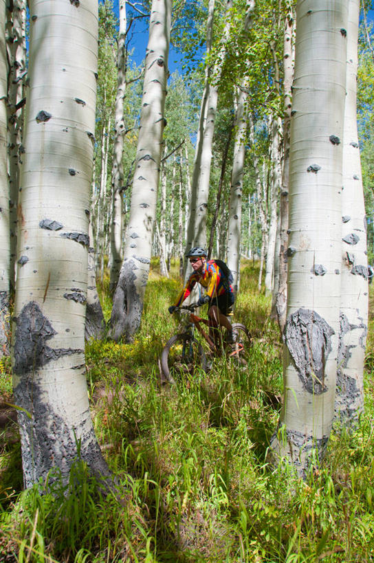 成年人,中年人,老年人,一个人,竖图,室外,白天,运动服,锻炼,旅游,度假,运动,森林,自行车,美国,仅一个男性,仅一个人,仅一个中年男性,头饰,山地车,娱乐,车,脚踏车,树,树干,自然,交通工具,享受,休闲,放松,运输,摄影,生长,白杨树,专心,载具,室外运动,户外运动,山地自行车,自行车头盔,白杨,背包客,科罗拉多州,大叶杨,技能,冒险,男人,男性,中年男性,彩图,健身,单行道,颤杨,冲天杨,响杨