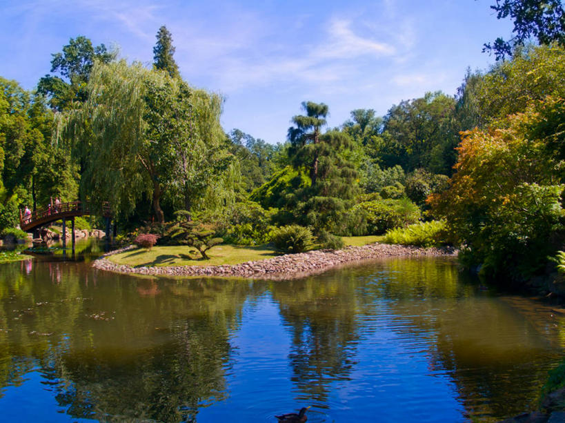 无人,横图,室外,白天,水,波兰,反射,云,树,自然,摄影,园林,宁静,彩图