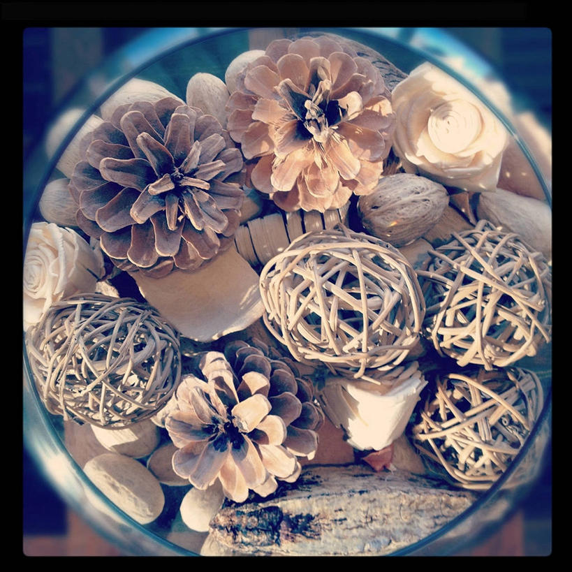 无人,方图,俯视,特写,美国,许多,形状,装饰,松果,很多,碗,摄影,多样,德克萨斯,美术工艺,彩图,高角度拍摄