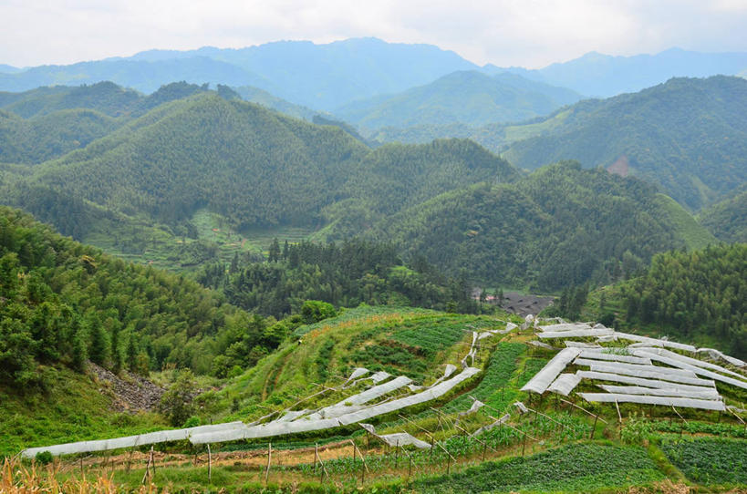 无人,横图,俯视,室外,白天,旅游,度假,农业,梯田,美景,山脉,稻田,景观,田地,娱乐,绿色,风景,天空,自然,享受,休闲,景色,放松,摄影,广西,宁静,自然风光,龙胜,彩图,高角度拍摄