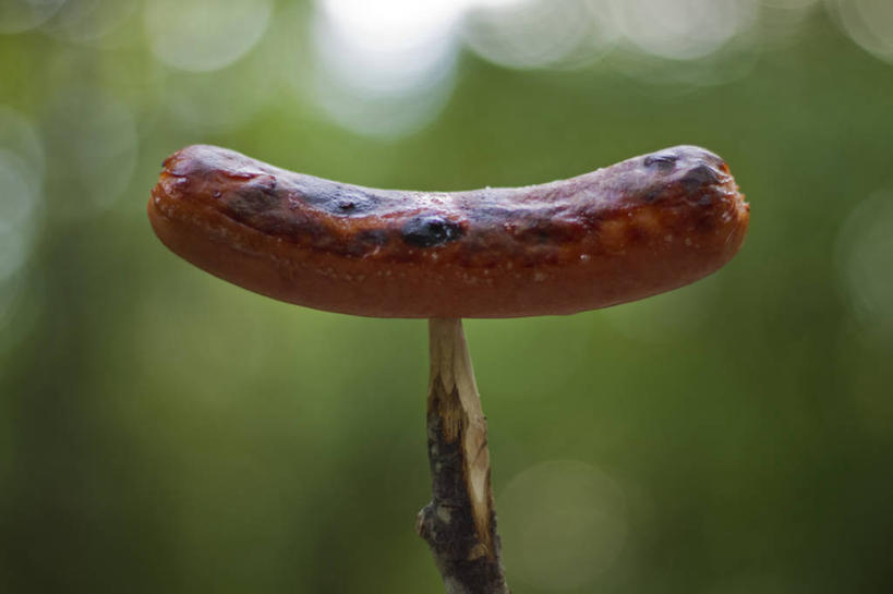 无人,横图,室外,特写,白天,美国,香肠,食品,热狗,饮食,摄影,清新,田纳西,彩图