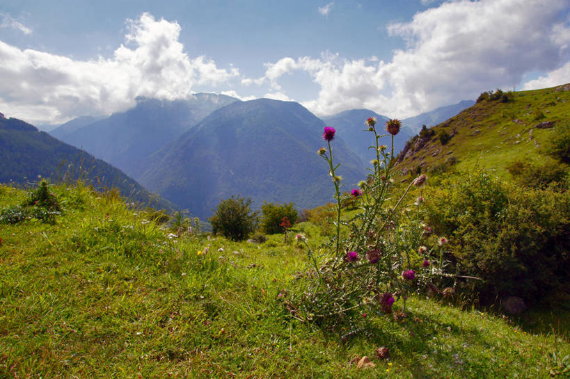 无人,横图,俯视,室外,白天,美景,山脉,法国,地形,景观,云,草,花,风景,天空,自然,蓟,景色,摄影,宁静,自然风光,彩图,高角度拍摄