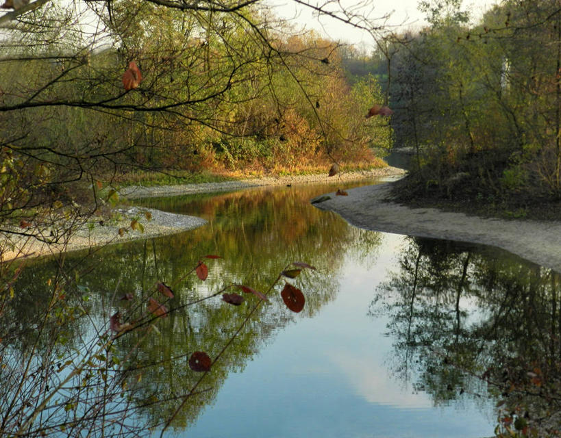 无人,公园,横图,室外,白天,河流,水,德国,弯曲,小的,反射,枝,树,天空,摄影,生长,宁静,杜塞尔多夫,彩图