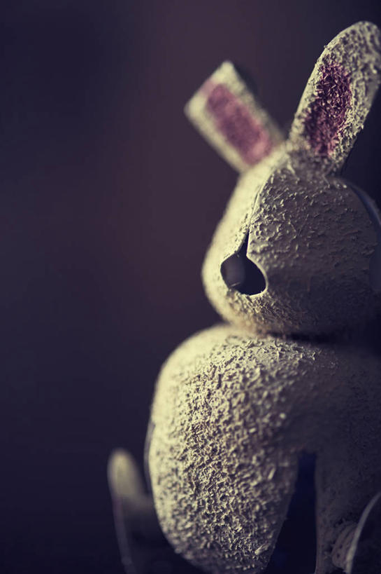 无人,竖图,室内,特写,白天,美国,一个,摄影,毛绒玩具,单个,问题,家兔,维吉尼亚,想法,彩图