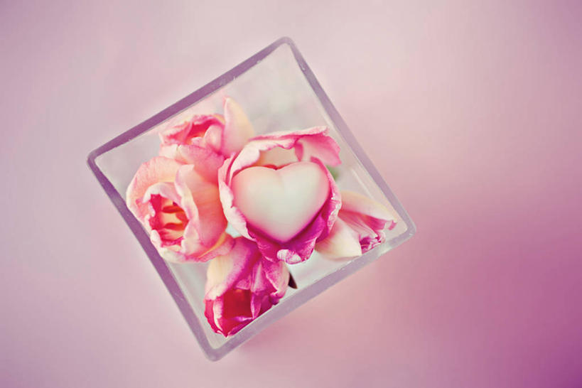 无人,横图,俯视,特写,意大利,粉色背景,正方形,花,粉色,摄影,脆弱,清新,想法,心型,彩图,高角度拍摄,爱