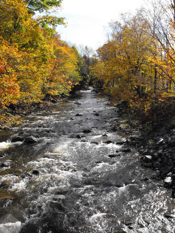 无人,竖图,室外,白天,海浪,河流,加拿大,树,天空,自然,摄影,改变,魁北克,尼日尔河,秋天,彩图