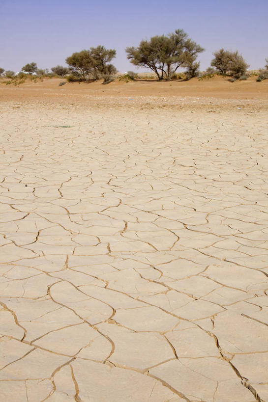 无人,竖图,室外,白天,全球变暖,沙丘,天气,首都,热,树,天空,自然,摄影,宁静,泥,干旱,干的,波斯湾,沙特阿拉伯,利雅得,彩图