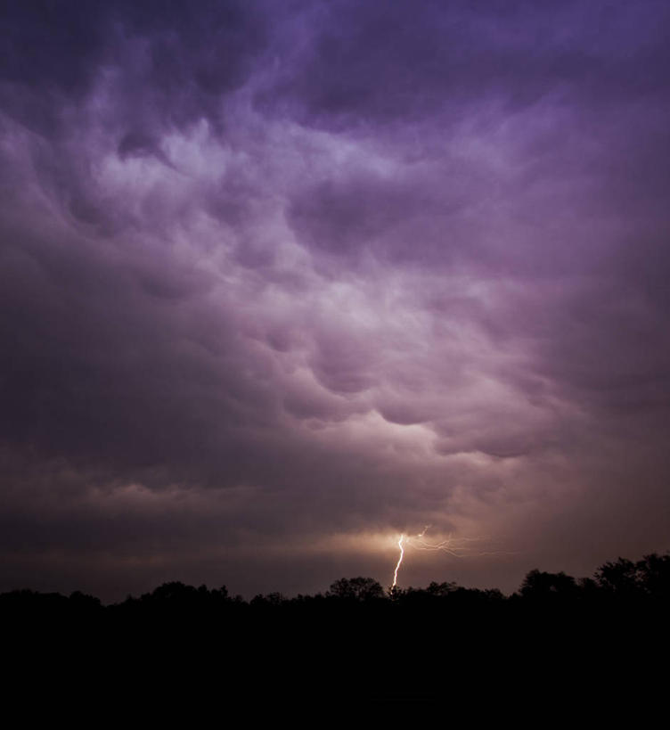 无人,竖图,室外,夜晚,闪电,加拿大,乌云,云,天气,树,紫色,自然,摄影,剪影,彩图