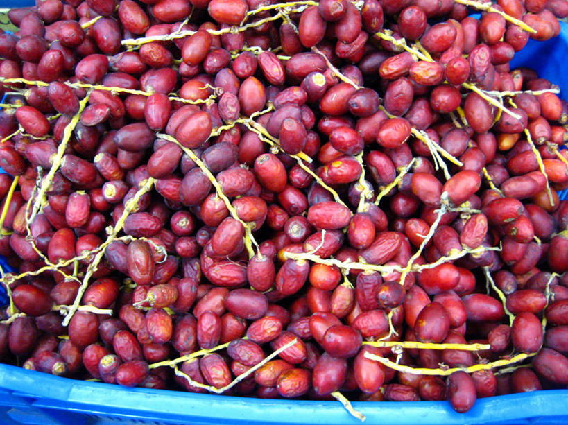 无人,横图,室外,白天,水果,印度,许多,丰富,市场,很多,红色,蓝色,容器,零售,摄影,清新,枣椰子,印度文化,泰米尔纳德邦,金奈,彩图