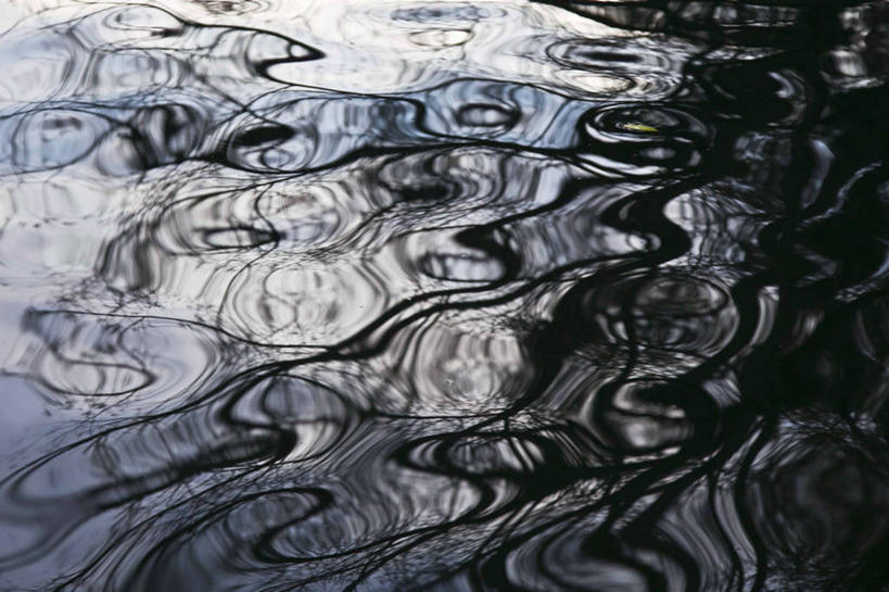 无人,横图,室外,白天,法国,巴黎,反射,流水,首都,树,自然,摄影,宁静,式样,彩图