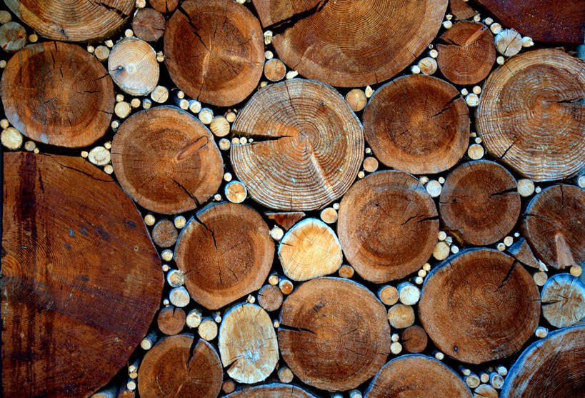 无人,横图,俯视,室外,白天,树林,瑞士,许多,堆叠,丰富,环保,很多,摄影,能源,回收,资源,圆木,利用,低碳,循环,持续,瓦莱斯州,彩图,高角度拍摄