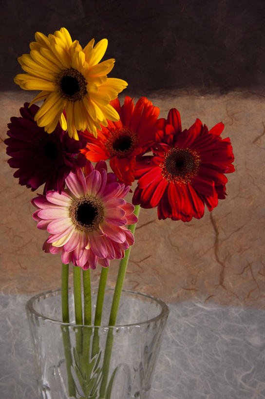 无人,竖图,室内,厄瓜多尔,首都,花,粉色,黄色,红色,摄影,多样,清新,基多,彩图