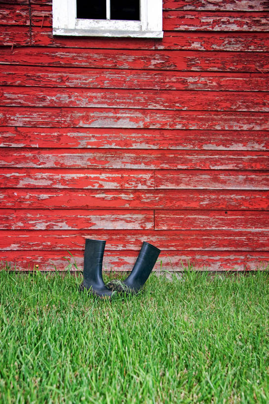 无人,竖图,室外,白天,加拿大,木制,雨鞋,草,红色,摄影,生长,宁静,彩图