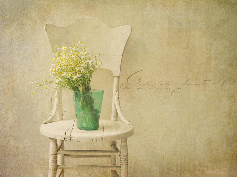 无人,横图,室内,花瓶,椅子,美国,古典,花,自然,摄影,生长,俄亥俄州,甘菊花,彩图