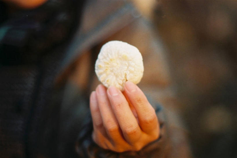 手,一个人,横图,室外,特写,白天,日本,年糕,拿着,饮食,摄影,部分,出示,德岛县,彩图