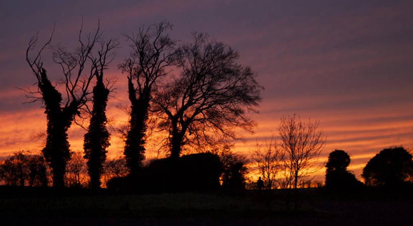 无人,横图,室外,美景,日落,英国,欧洲,景观,云,英格兰,树,风景,自然,景色,摄影,西欧,自然风光,剪影,大不列颠,大不列颠及北爱尔兰联合王国,大不列颠及爱尔兰联合王国,剑桥,剑桥郡,康桥,彩图,大不列颠王国,大英帝国,联合王国,日不落帝国