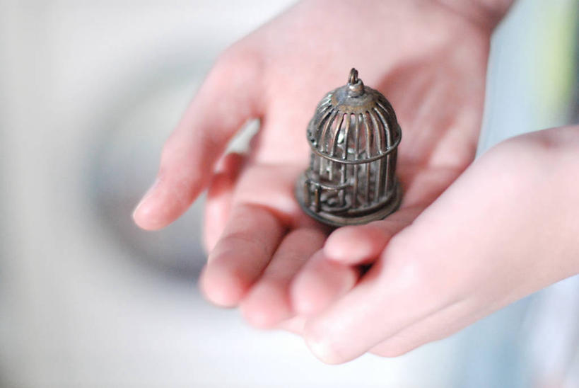 手,一个人,横图,室内,特写,加拿大,小的,鸟笼,拿着,摄影,部分,想法,亚伯达,彩图