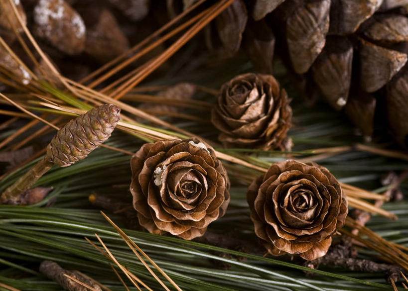 无人,横图,室内,特写,白天,挪威,形状,庆祝,松果,首都,草,干花,摄影,多样,奥斯陆,彩图,传统文化